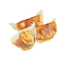 Vegetable Gyoza