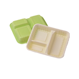 Bento Box