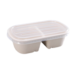 Pulp Bento Box